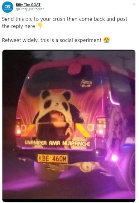 Billy ihe goat crazy_nairobian send this pic to your crush then come back and po