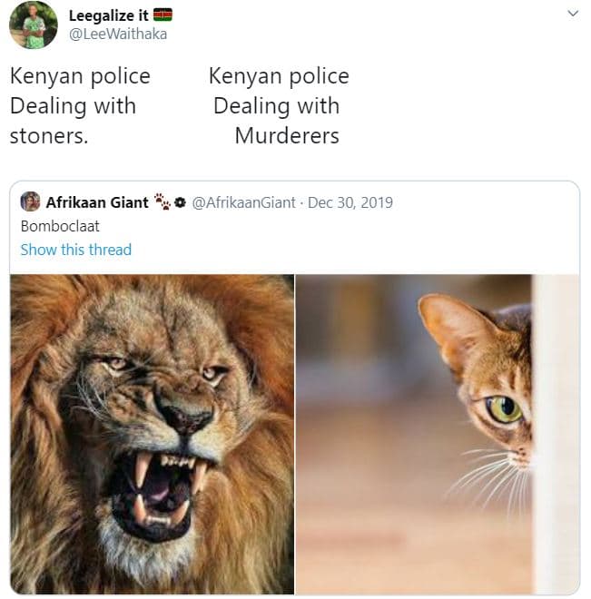 Leegalize it leewaithaka kenyan police dealing with stoners kenyan police dealin