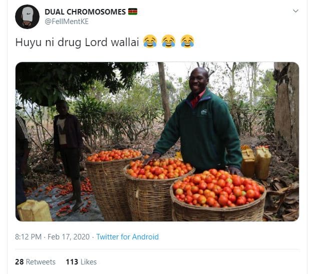 Dual chromosomes fellmentke huyu ni drug lord wallai 8,12 pm feb 17, twitter for