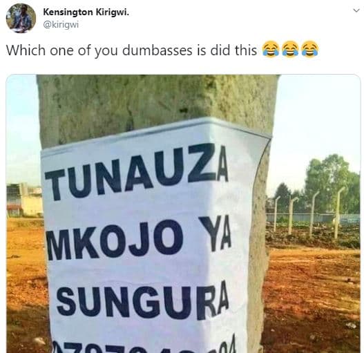 Kensington kirigwi. kirigwi which one of you dumbasses is did this 66 tunauza mk