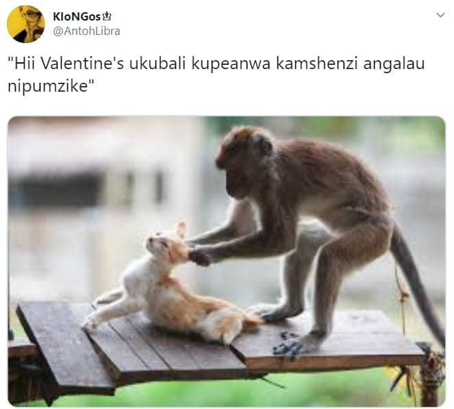 Klongos8 antohlibra hii valentine's ukubali kupeanwa kamshenzi angalau nipumzike
