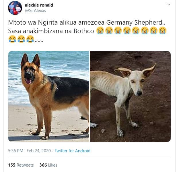 Aleckie ronald siralexas mtoto wa ngirita alikua amezoea germany shepherd. sasa