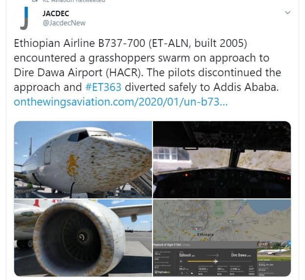 Jacdec jacdecnew ethiopian airline b737700 etaln built encountered grasshoppers