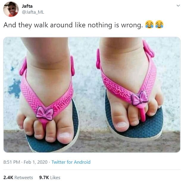 Jafta jafta_ml and they walk around like nothing is wrong 8.51 pm . feb 1, twitt