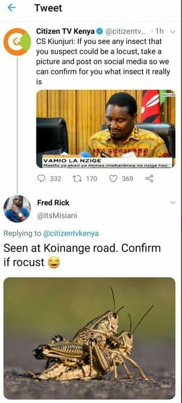 Tweet citizen tv kenya citizentv . 1h cs kiunjuri if you see any insect that you
