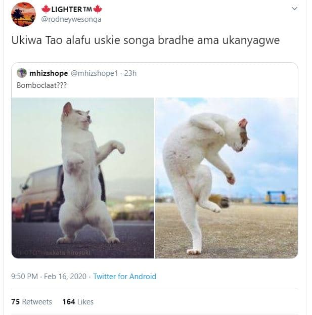 Lightertm rodneywesonga ukiwa tao alafu uskie songa bradhe ama ukanyagwe mhizsho