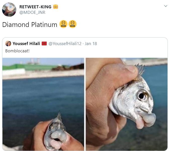 Retweetking mdoe_jnr diamond platinum youssef hilali bomblocaat! youssefhilali12