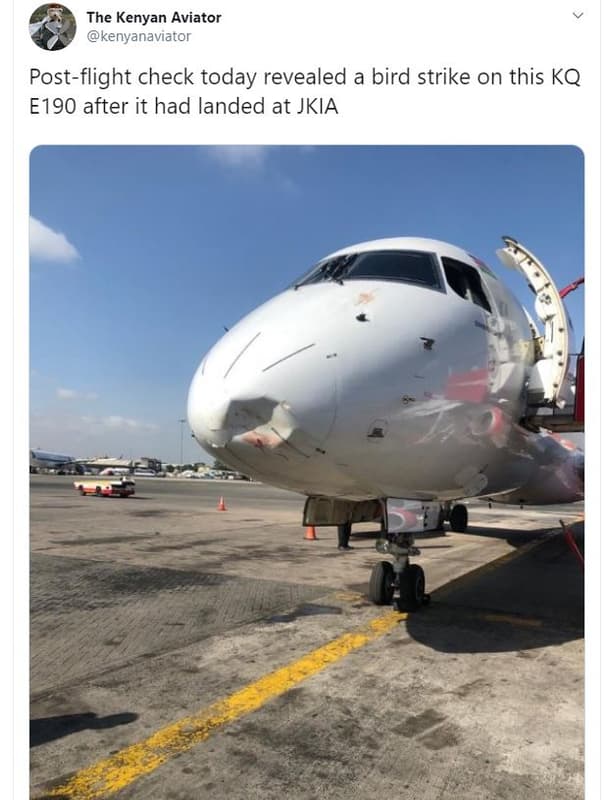 The kenyan aviator kenyanaviator postflight check today revealed a bird strike o