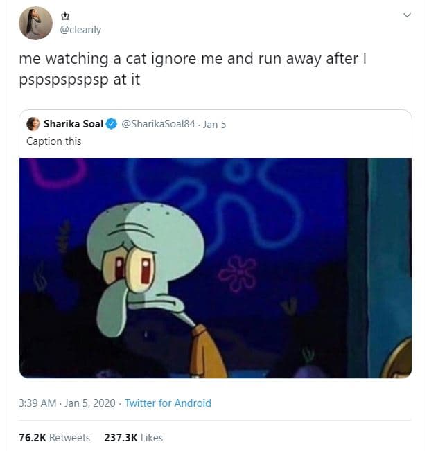 Clearily me watching a cat ignore me and run away after pspspspspsp at it sharik