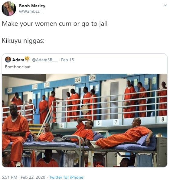 Boob marley wambzz _ make your women cum or go to jail kikuyu niggas adam adamsb
