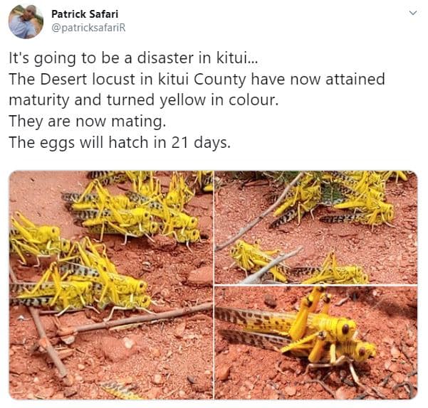 Patrick safari patricksafarir it's going to be a disaster in kitui. the desert l