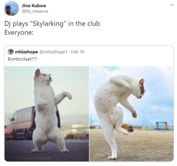 Jina kubwa its_mwaura dj plays skylarking in the club everyone mhizshope mhizsho