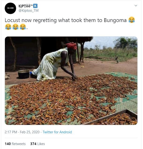 Kiptöö kiptoo_tm locust now regretting what took them to bungoma a4 2.17 pm feb