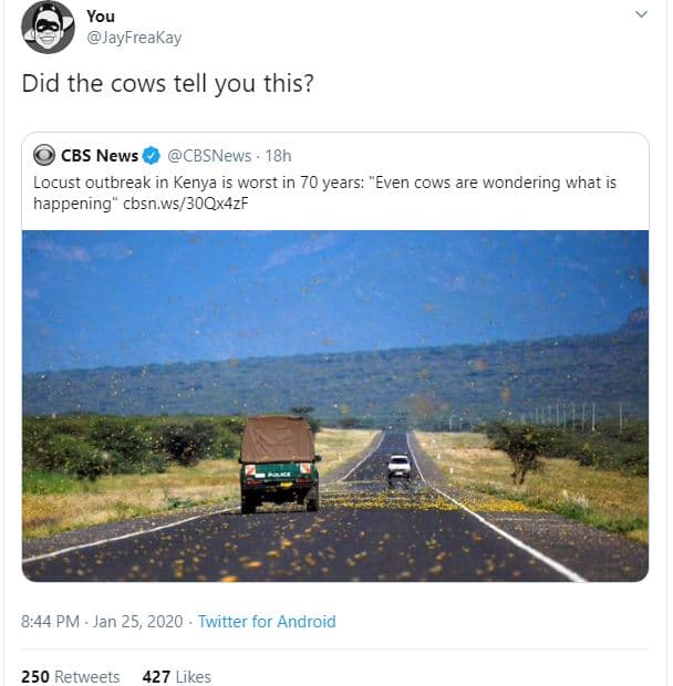 You jayfreakay did the cows tell you this? cbs news cbsnews 18h locust outbreak