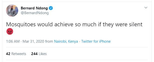 Bernard ndong bernardndong mosquitoes would achieve so much if they were silent