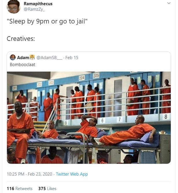 Ramapithecus ramzzy _ sleep by 9pm or go to jail creatives adam adamsb bomboocla