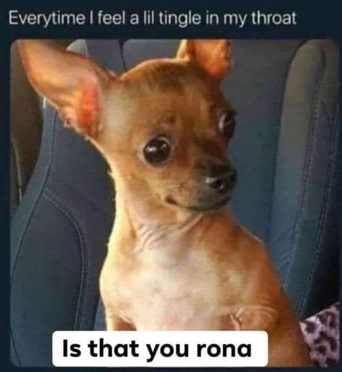 Everytime feel a lil tingle in my throat is that you rona