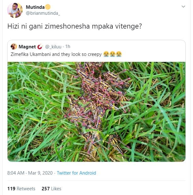 Mutinda brianmutinda hizi ni gani zimeshonesha mpaka vitenge? magnet kiluu zimef