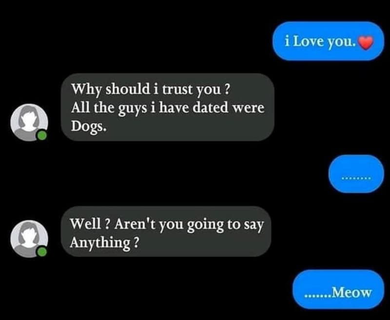 Ilove you. why should i trust you ? all the guys i have dated were dogs. well ?