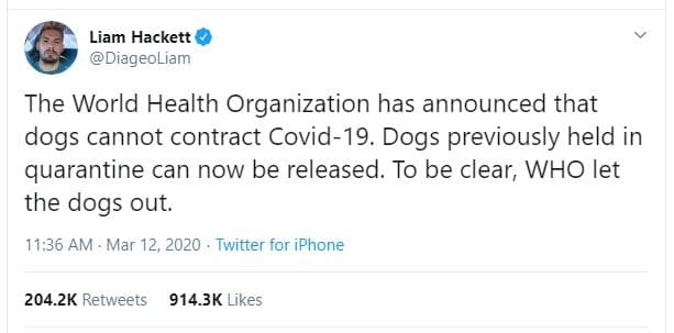 Liam hackett diageoliam the world health organization has announced that dogs ca