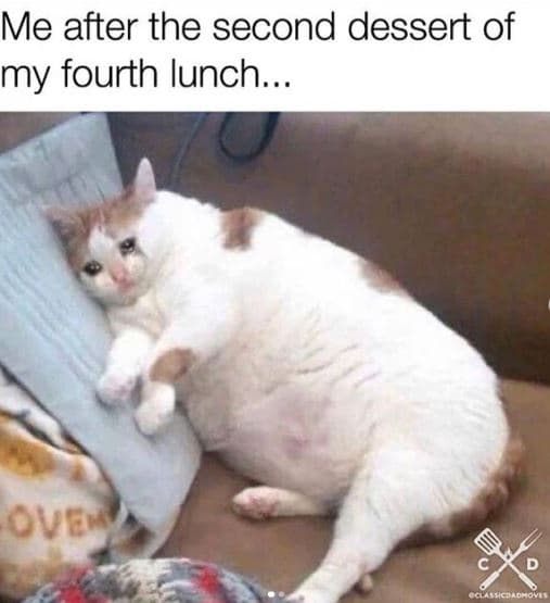 Me after the second dessert of my fourth lunch. . ovew