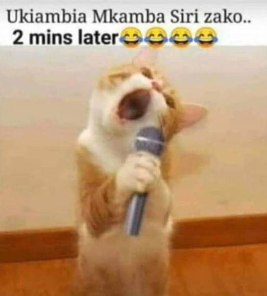 Ukiambia mkamba siri zako. 2 mins later 306