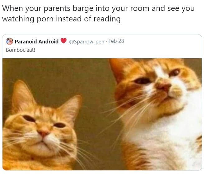When your parents barge e into your room and see you watching porn instead of re