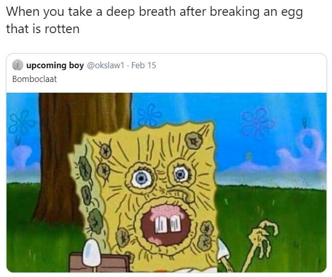 When you take a deep breath after breaking an egg that is rotten upcoming boy ok
