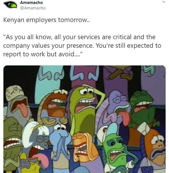 Amamacho amamacho kenyan employers tomorrow. 'as you all know all your services