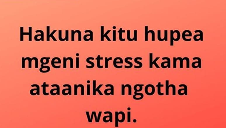 Hakuna kitu hupea mgeni stress kama ataanika ngotha wapi.