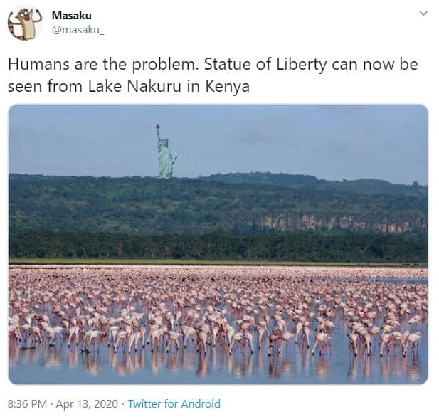 Masaku masaku humans are the problem. statue of liberty can now be seen from lak