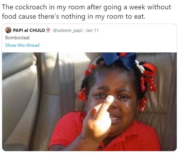 The cockroach in my room after going a week without food cause there's nothing i