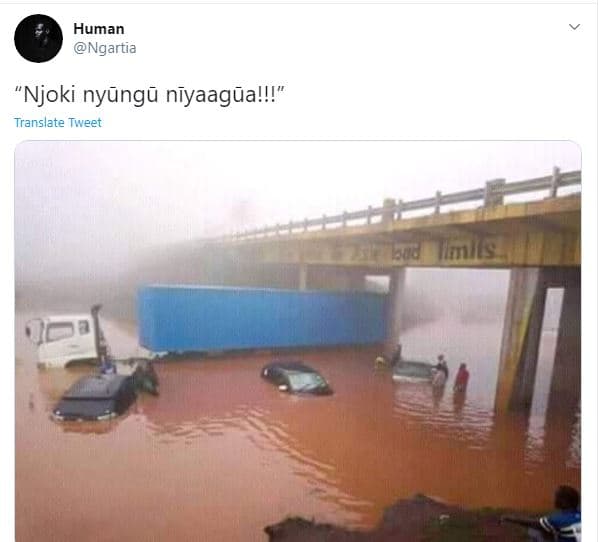 Human ngartia njoki nyungu niyaagual!! translate tweet