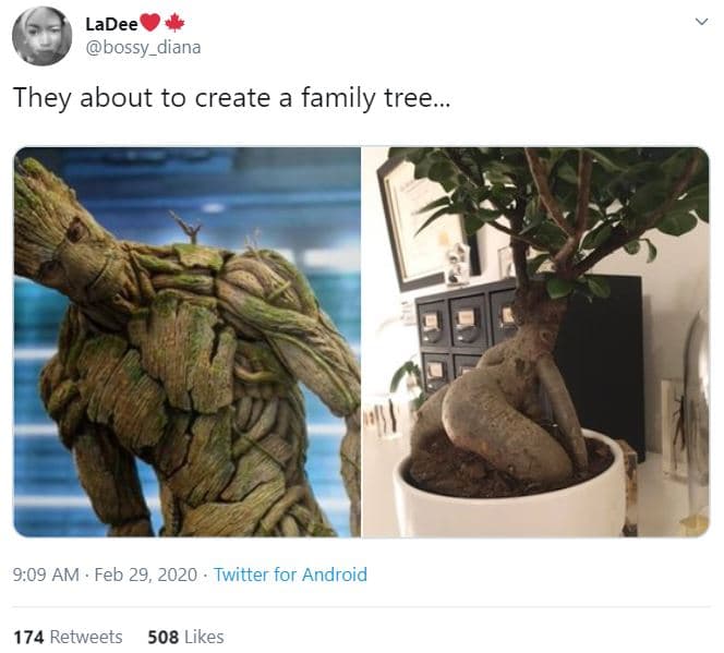 Ladee bossy_diana they about to create a family tree 9.09 am feb 29, twitter for