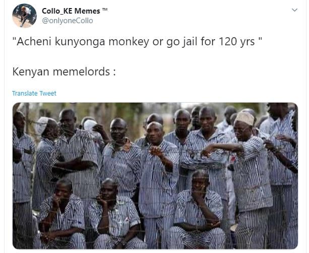 Collo_ke memes onlyonecollo acheni kunyonga monkey or go jail for 120 yrs kenyan