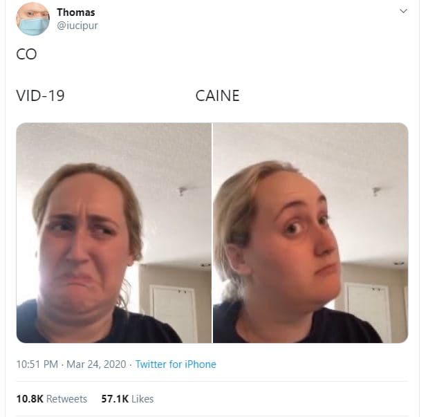 Thomas iucipur vid19 caine 10.51 pm mar 24, twitter for iphone 10.8k retweets 57