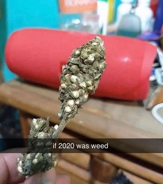 If was weed
