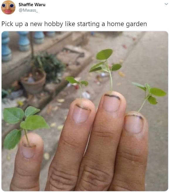 Shaffie waru mwass_ pick up a new hobby like starting a home garden