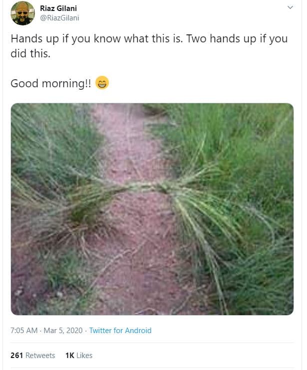 Riaz gilani riazgilani hands up if you know what this is. two hands up if you di