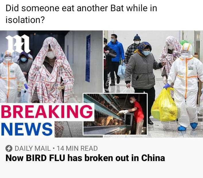 Did someone eat another bat while in isolation? breaking news daily mail 14 min