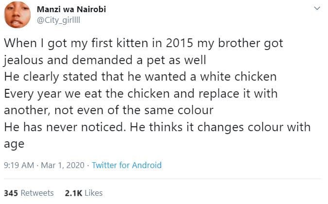 Manzi wa nairobi city_girliii when got my first kitten in my brother got jealous