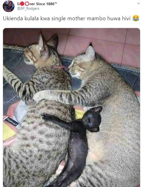 Ner since bp_rodgers ukienda kulala kwa single mother mambo huwa hivi