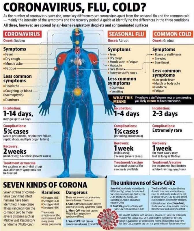 Coronavirus, flu, cold? as the number of coronavirus cases rise some key differe