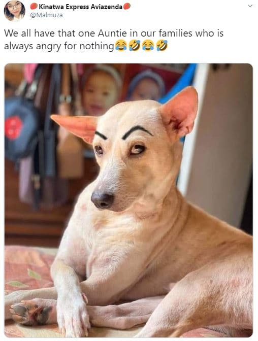 Kinatwa express aviazenda malmuza we all have that one auntie in our families wh