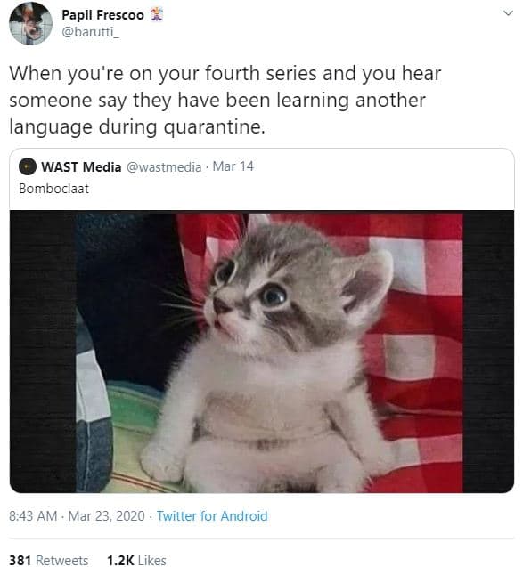 Papii frescoo barutti _ when you're on your fourth series and you hear someone s