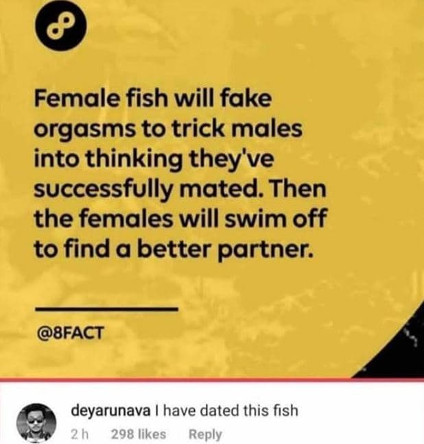 8 female fish will fake orgasms to trick males into thinking they've successfull
