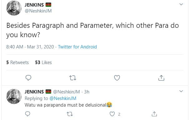 Jenkins neshkınjm besides paragraph and parameter, which other para do you know?