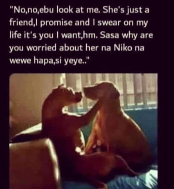 Nonoebu look at me she's just a friend promise and swear on my life it'5 you wan