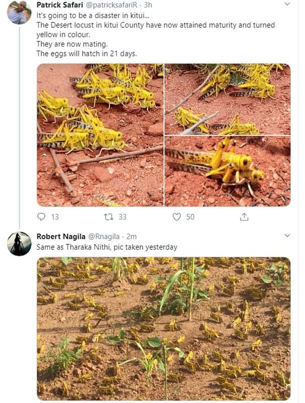 Patrick safari patricksafarir it's going to be disaster in kitui . the desert lo