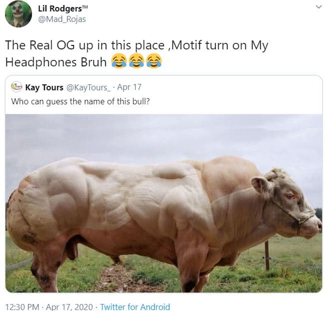 Lil rodgers mad_rojas the real og up in this place motif turn on my headphones b